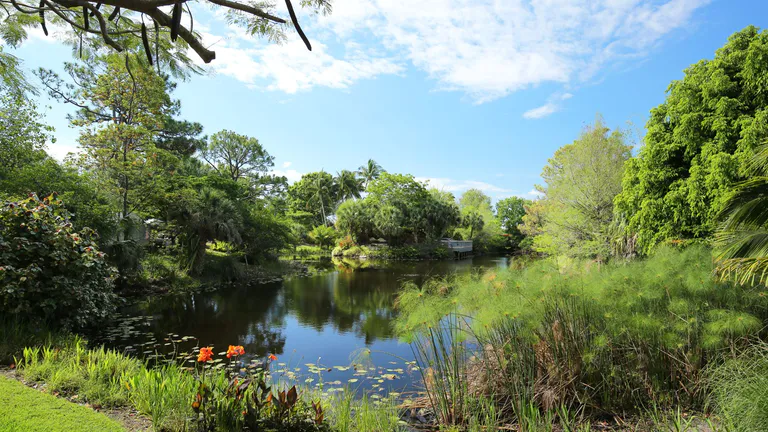 Mounts Botanical Garden