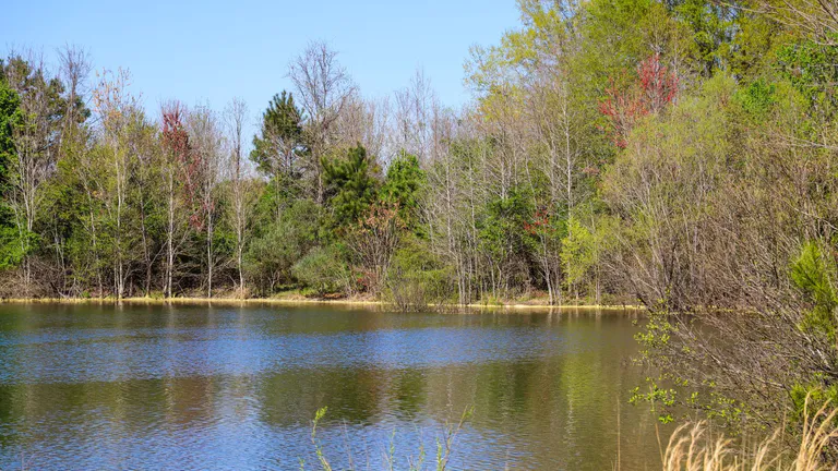 Reynold’s Nature Preserve