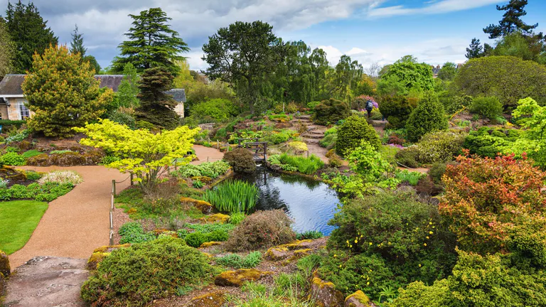 Botanical garden with a path, flowerbeds and small pond