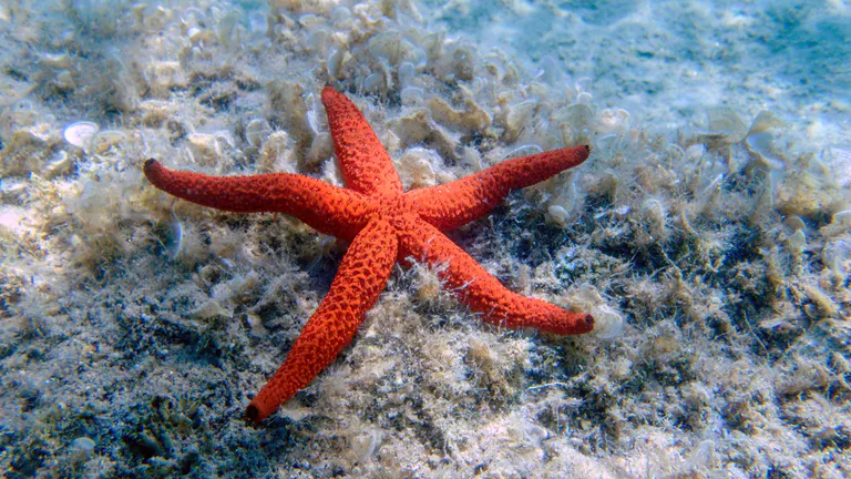 East_Idaho_Aquarium