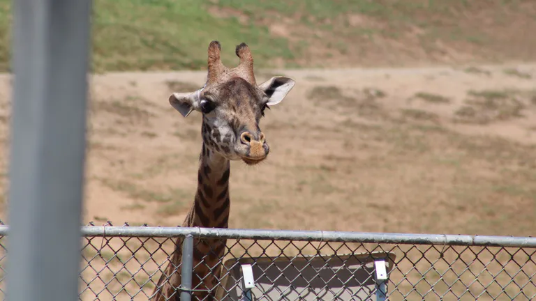Fort Wayne’s Children’s Zoo