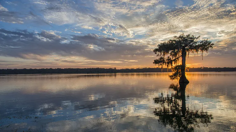 Lake Martin