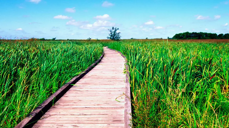 Creole Nature Trail All-American Road