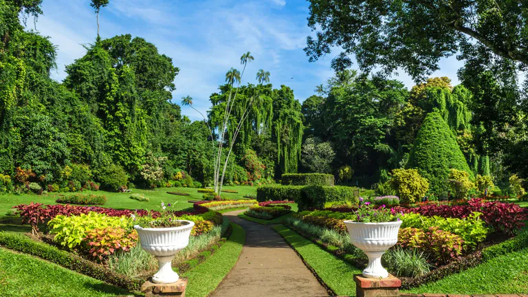 Botanical garden path with flowerbeds on either side and trees in the background