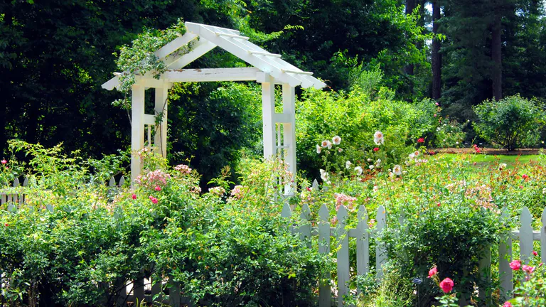 American Rose Center in Shreveport