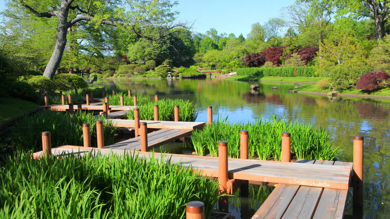 missouri botanical garden