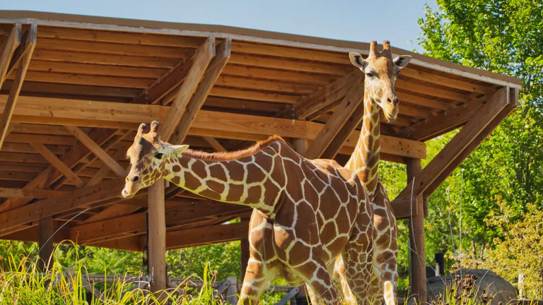 Omahas_Henry_Doorly_Zoo_and_Aquarium