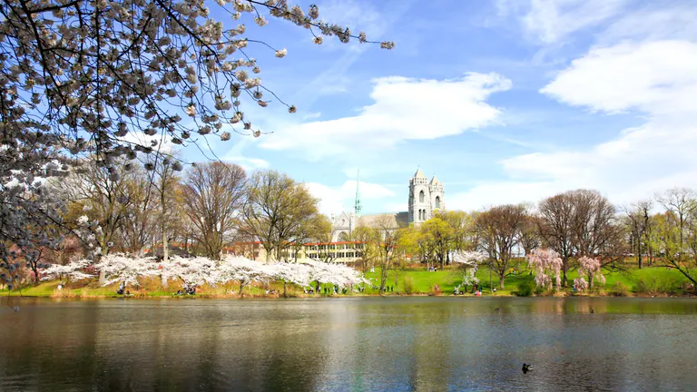 Branch Brook Park in Newark, New Jersey.