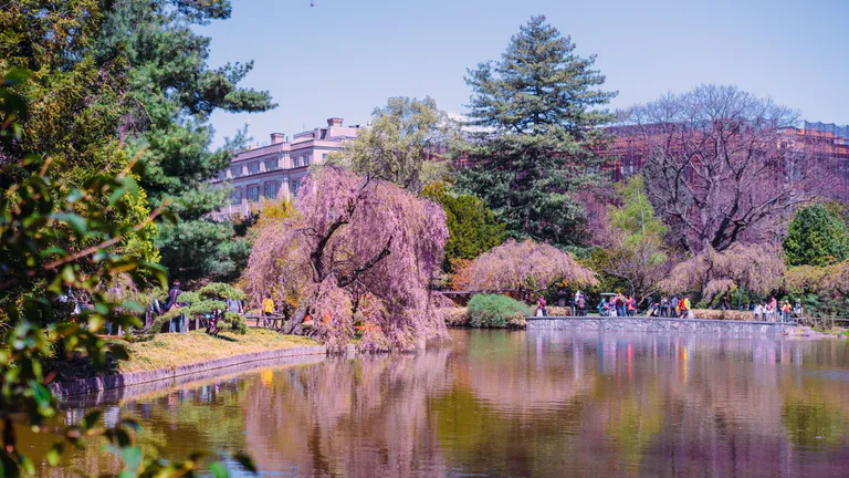 New York Botanical Garden.