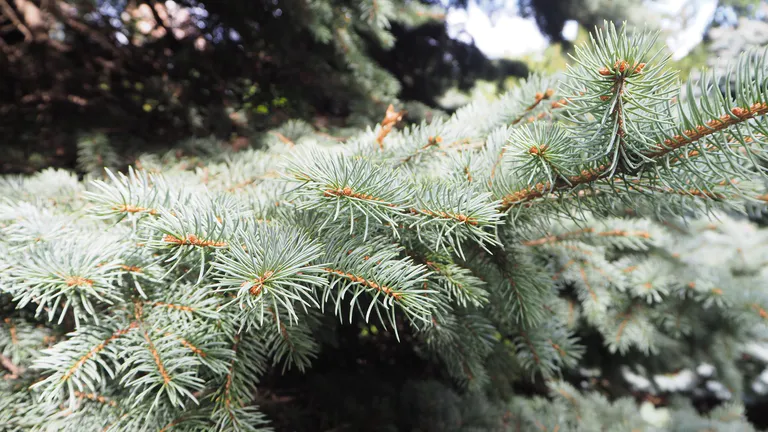 Queens Botanical Garden