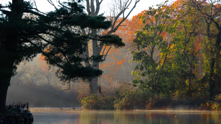 avalon park nature preserve