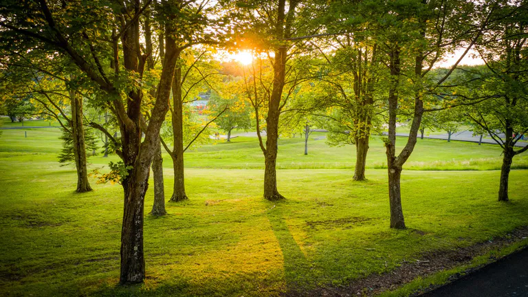 Park in Vestal