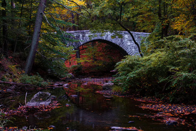 Rockefeller State Park Preserve