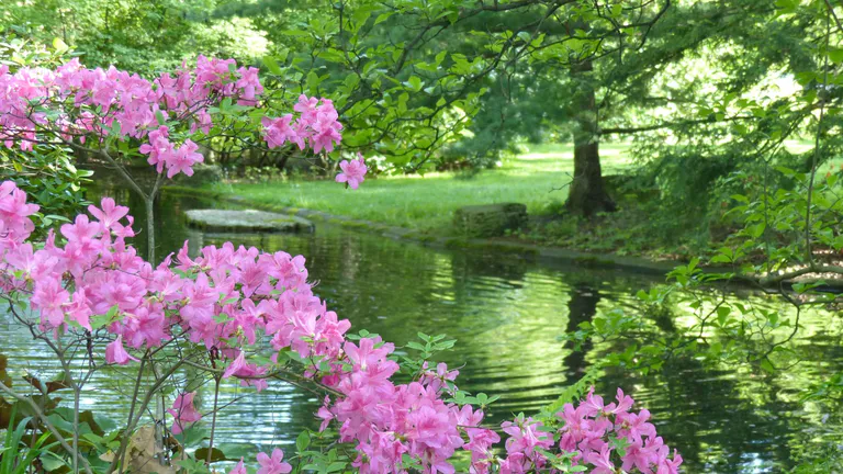 Toledo_Botanical_Garden