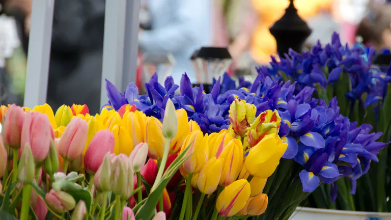 Redmond Saturday Market