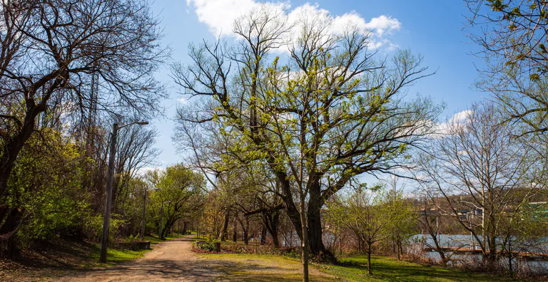 Allegheney Riverfront Park