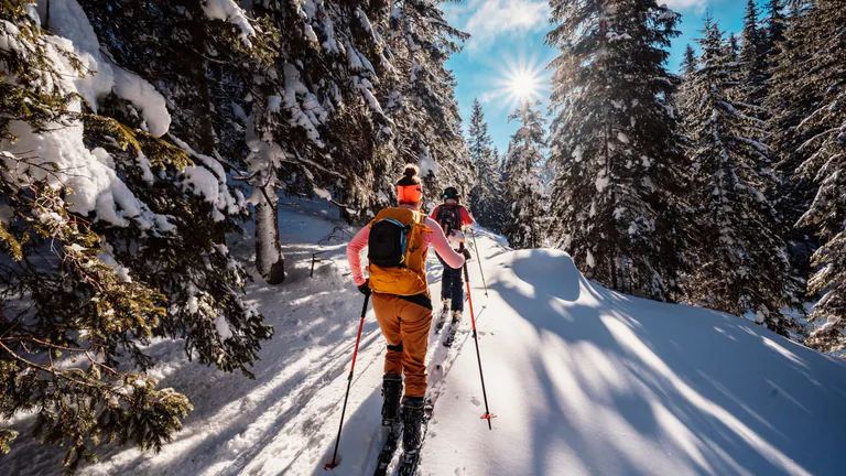 Person skiing through a snowy mountain forest