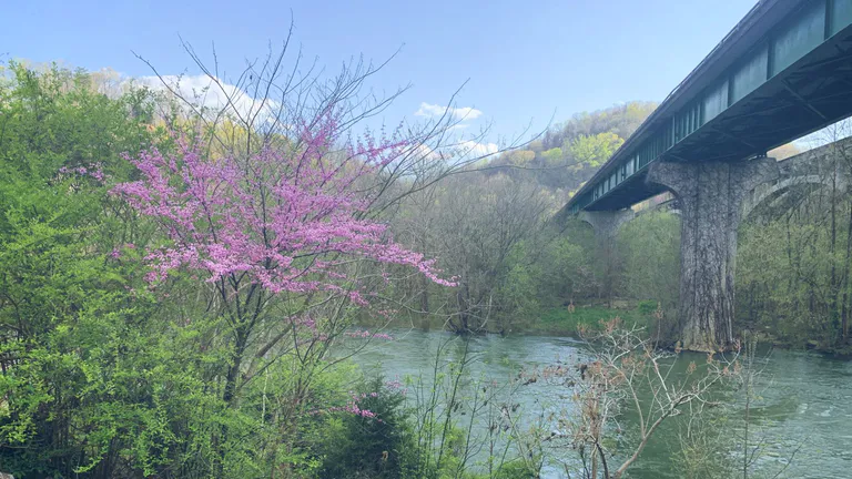 Warrior’s Path State Park Kingsport