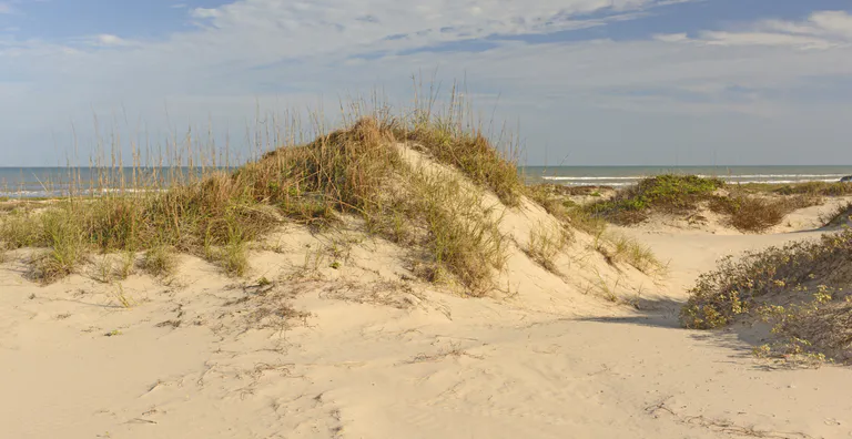Boca Chica State Park