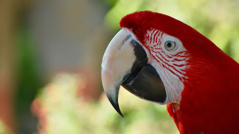 South Texas Botanical Gardens & Nature Center