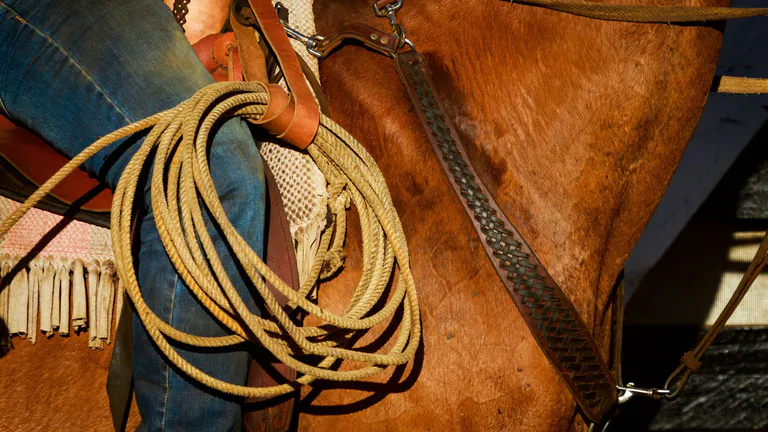 Mesquite Arena Rodeo
