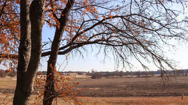 oak point nature preserve
