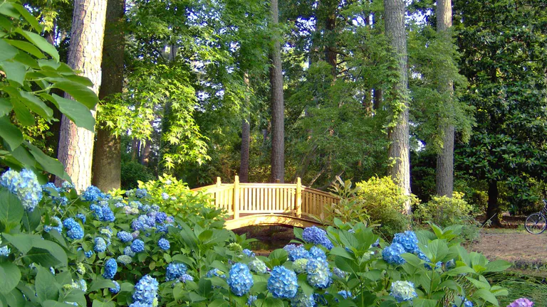 Norfolk Botanical Garden