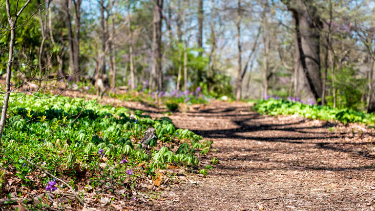 Mill Mountain Park
