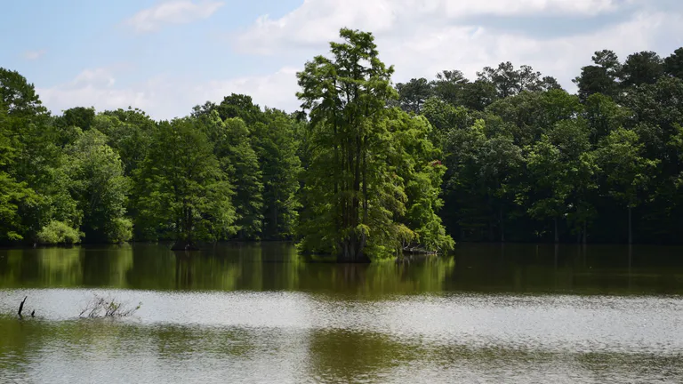 Stumpy_Lake_Natural_Area