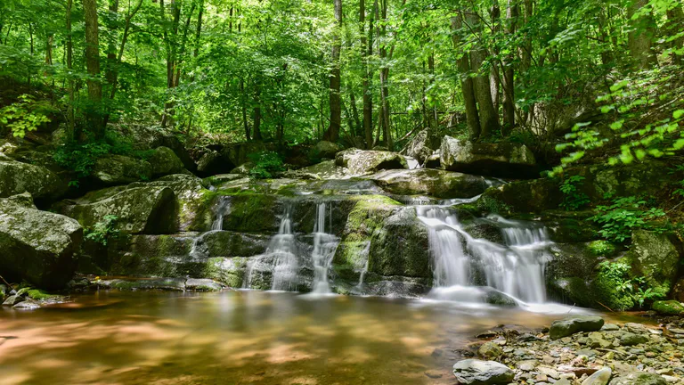 Museum of the Shenandoah Valley