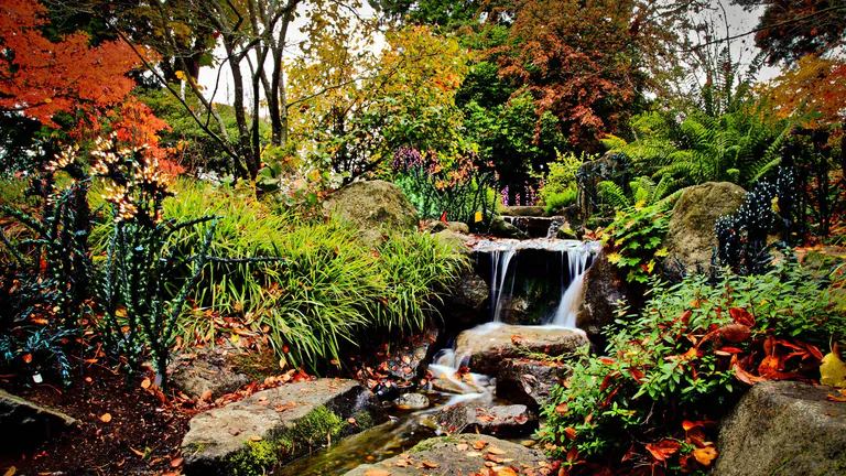 bellevue botanical garden