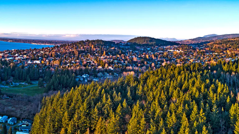 city-near-forest