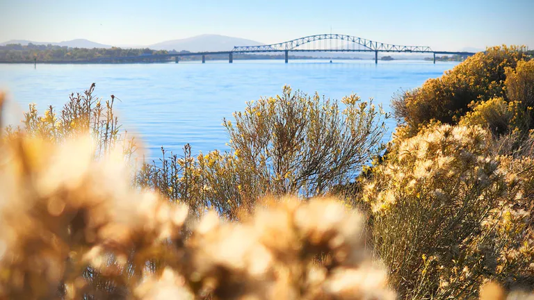 columbia river pasco
