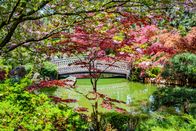 Manito Park