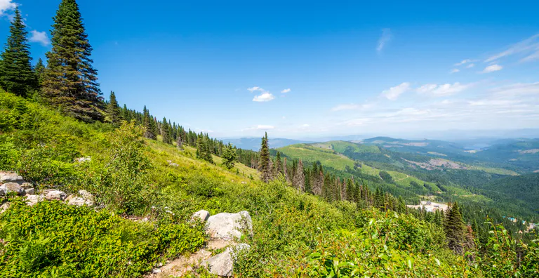 Mount Spokane State Park