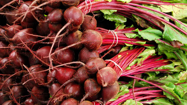 Dane County Farmers Market
